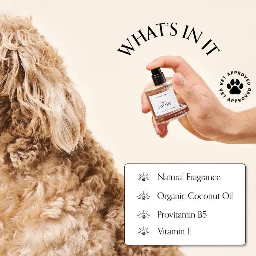 Dog Fragrance - Youth Elixir-K9 Outdoors