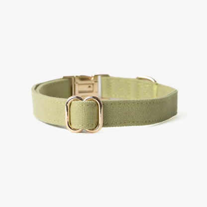 'Green' - Canvas Dog Collar FURLOU