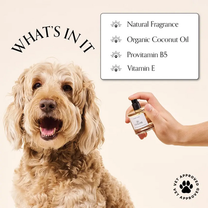 Dog Fragrance - Summer Tonic-K9 Outdoors