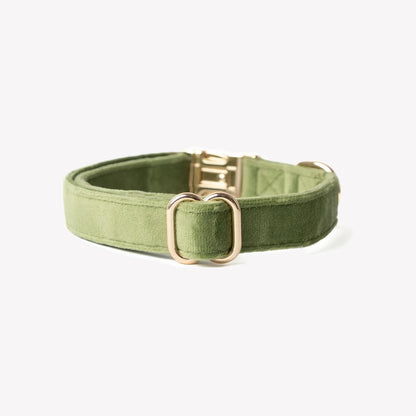 'Green' - Velvet Dog Collar FURLOU