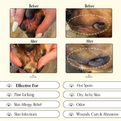 Miracle Mist-K9 Outdoors